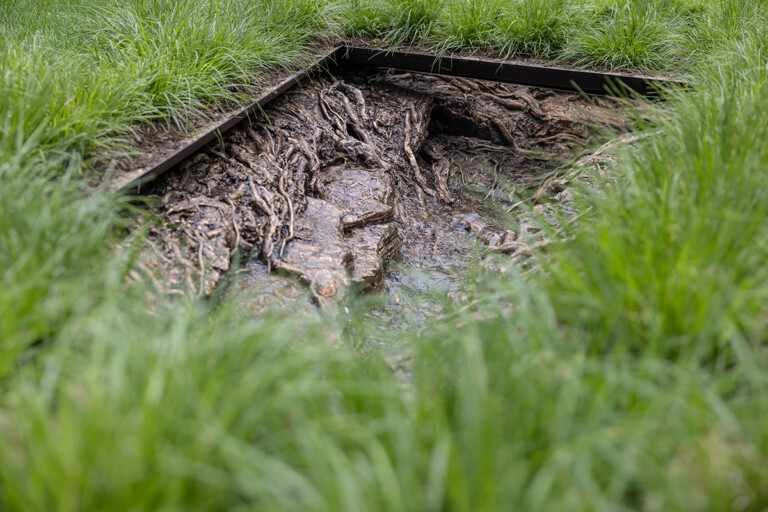 Cristina Iglesias, Landscape and Memory, installation view at Madison Square Park, New York, 2022, photo Rashmi Gill