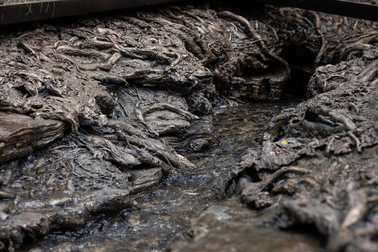 Cristina Iglesias, Landscape and Memory, installation view at Madison Square Park, New York, 2022, photo Rashmi Gill