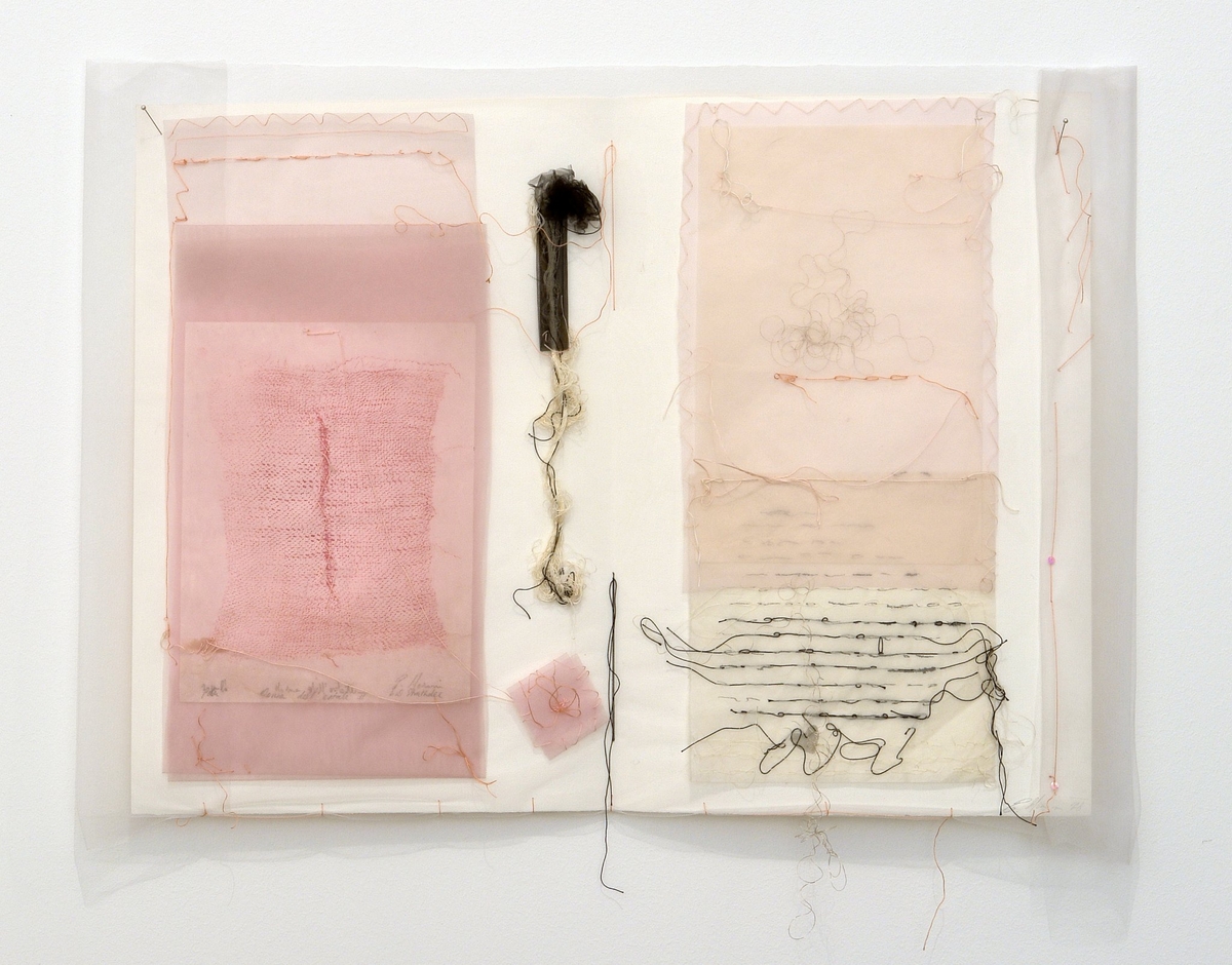 Emanuela Marassi. Cronache rosa. Exhibition view at Museo Ugo Carà, Muggia 2022