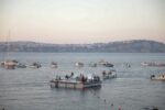 Il concerto di Liberato a Procida 2022