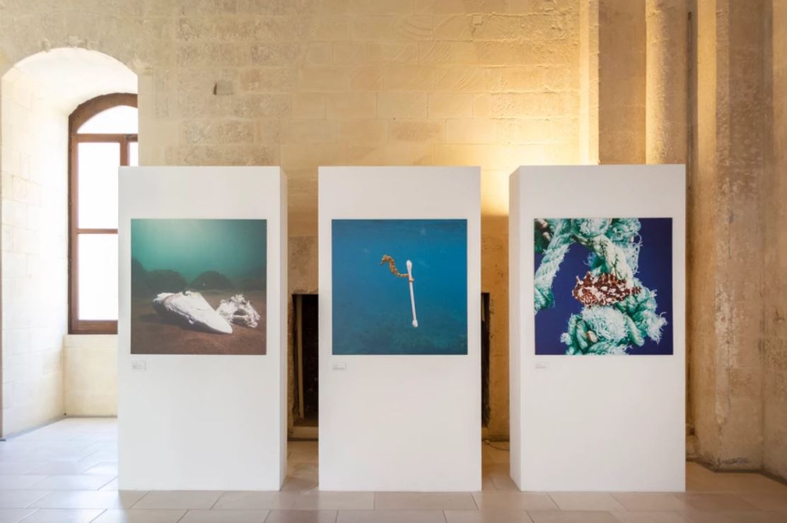 Justin Hofman, Abyss and Horizon, exhibition view at Castello di Lecce, 2022