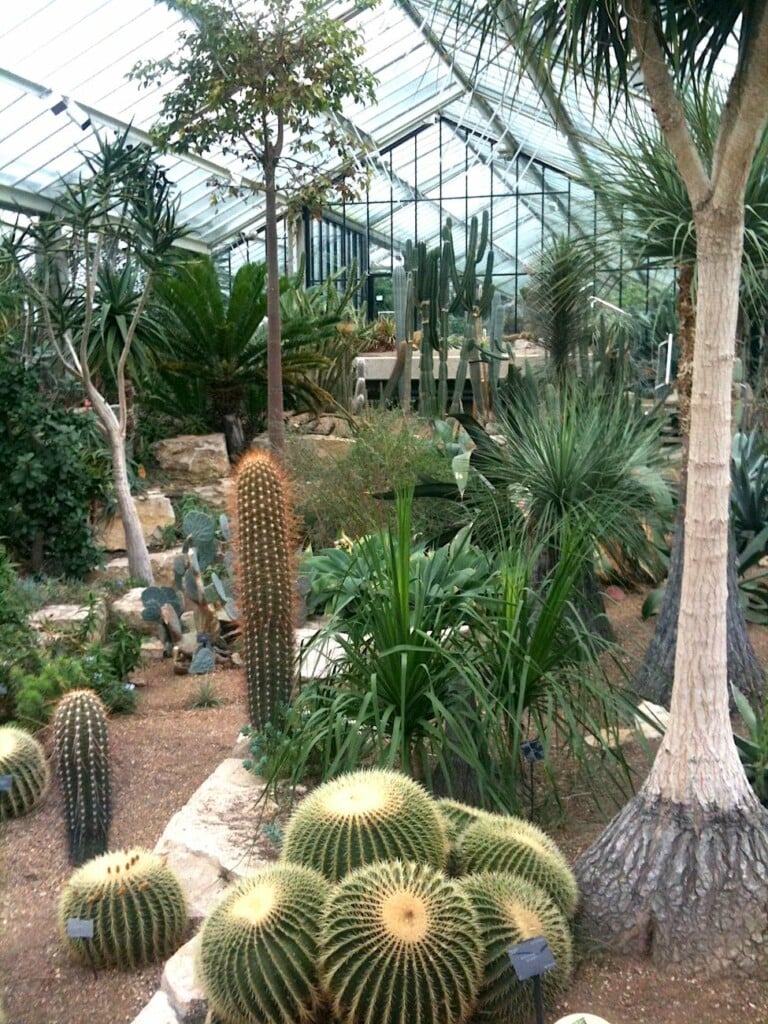 Kew Gardens, Temperate House. Photo Claudia Zanfi