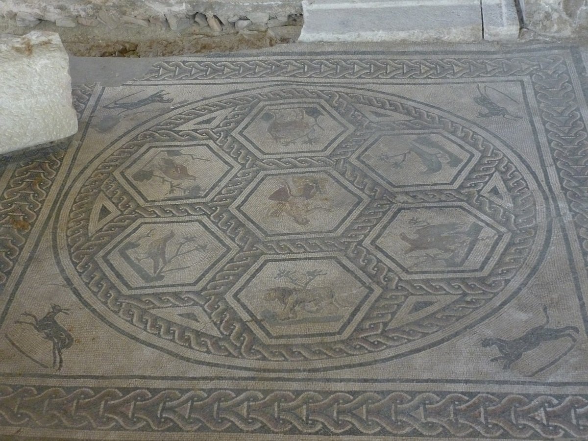 Mosaico della Domus del Chirurgo. Photo Diego Baglieri