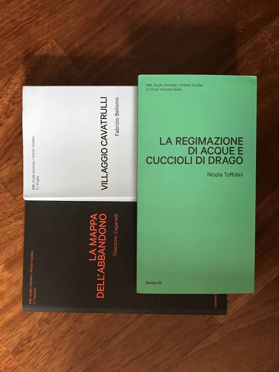 Nicola Toffolini – La regimazione di acque e cuccioli di drago (Centro Di, Firenze 2022)