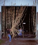 Paola Anziché, Hanging Garden, 2010. Nietzsche Fabrik, Torino