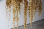 Paola Anziché, Touching and Changing, 2017, dettaglio. Naranca Kiosko, Santa Cruz de la Sierra