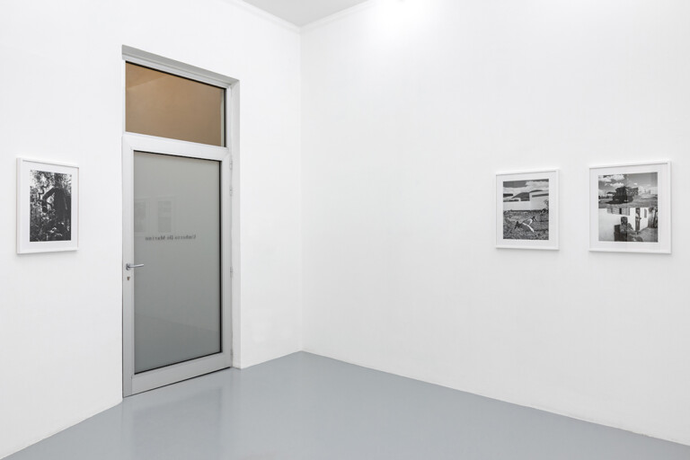 Sergio Vega, A cloud-forest of paper and ink, 2022, exhibition view at galleria Umberto Di Marino, Napoli. Photo Danilo Donzelli