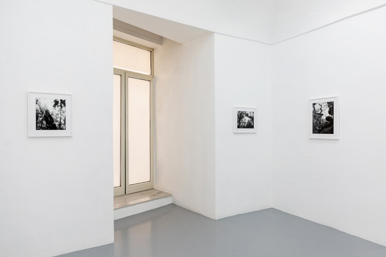 Sergio Vega, A cloud-forest of paper and ink, 2022, exhibition view at galleria Umberto Di Marino, Napoli. Photo Danilo Donzelli