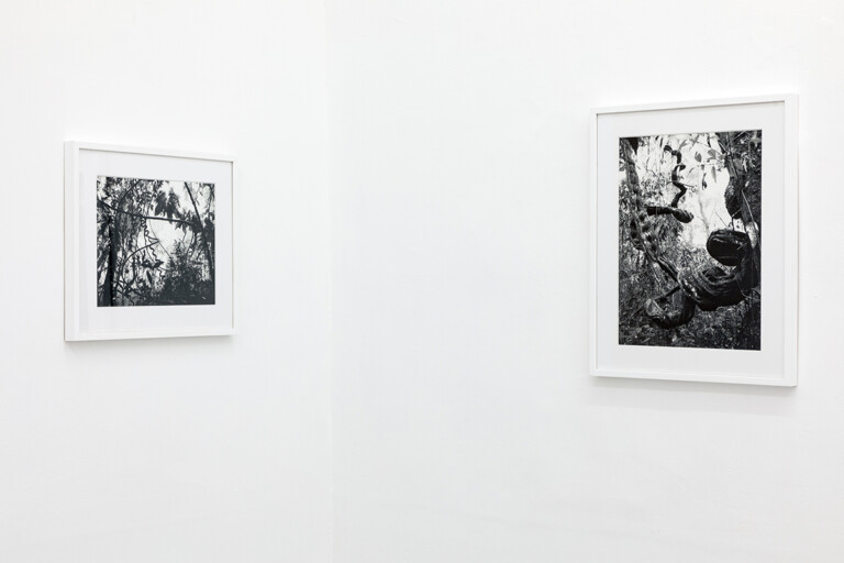 Sergio Vega, A cloud-forest of paper and ink, 2022, exhibition view at galleria Umberto Di Marino, Napoli. Photo Danilo Donzelli