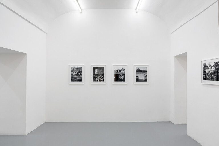 Sergio Vega, A cloud-forest of paper and ink, 2022, exhibition view at galleria Umberto Di Marino, Napoli. Photo Danilo Donzelli