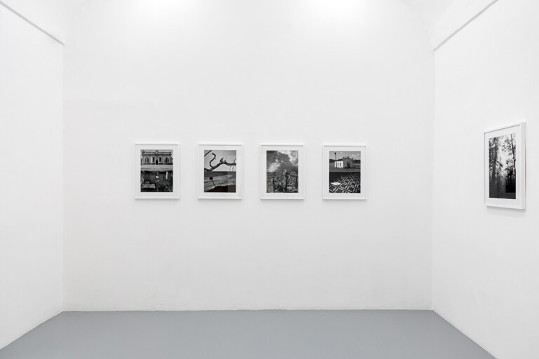 Sergio Vega, A cloud-forest of paper and ink, 2022, exhibition view at galleria Umberto Di Marino, Napoli. Photo Danilo Donzelli