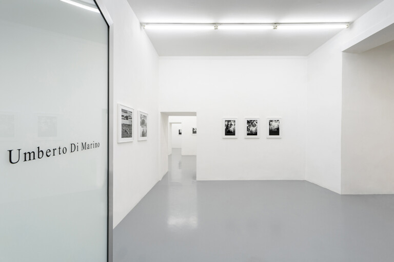 Sergio Vega, A cloud-forest of paper and ink, 2022, exhibition view at galleria Umberto Di Marino, Napoli. Photo Danilo Donzelli