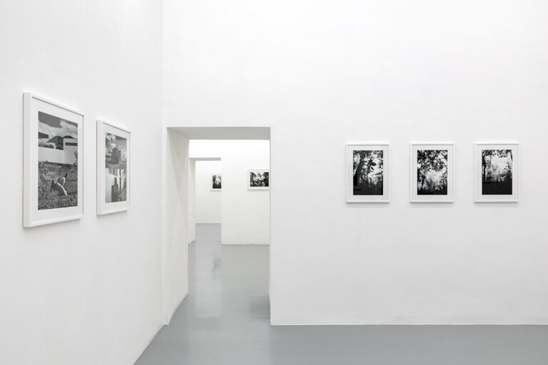 Sergio Vega, A cloud-forest of paper and ink, 2022, exhibition view at galleria Umberto Di Marino, Napoli. Photo Danilo Donzelli