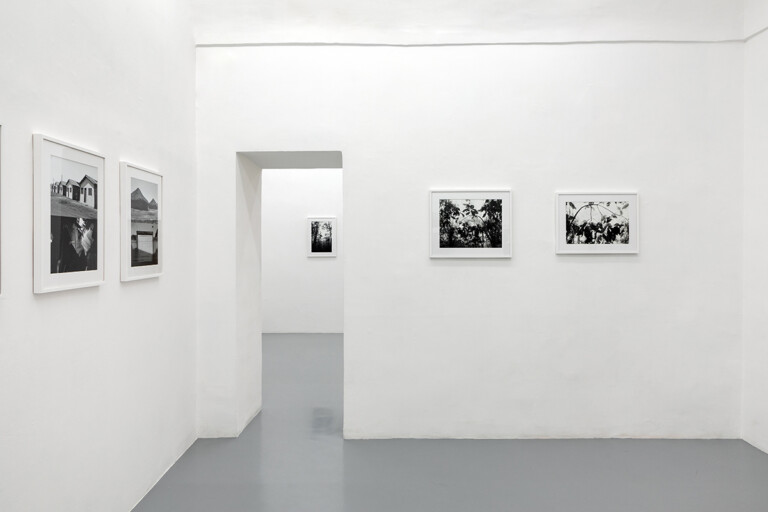 Sergio Vega, A cloud-forest of paper and ink, 2022, exhibition view at galleria Umberto Di Marino, Napoli. Photo Danilo Donzelli