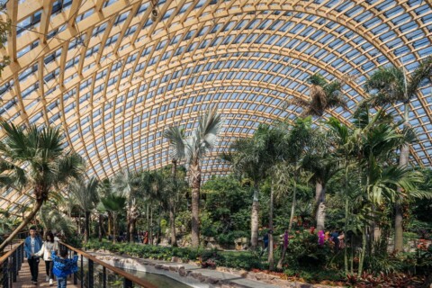 Il Taiyuan Botanical Garden. Courtesy Delugan Meissl Associated Architects