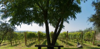 Cantine Astroni