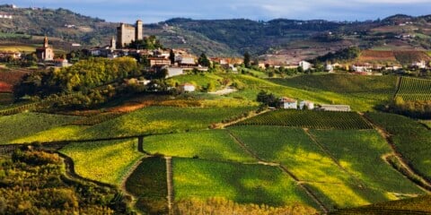 Monferrato