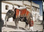 Albert Kahn, Les Archives de la Planète, Autochrome A004189. Courtesy Museo Dipartimentale Albert Kahn, Boulogne Billancourt