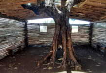 Casa Ulivo