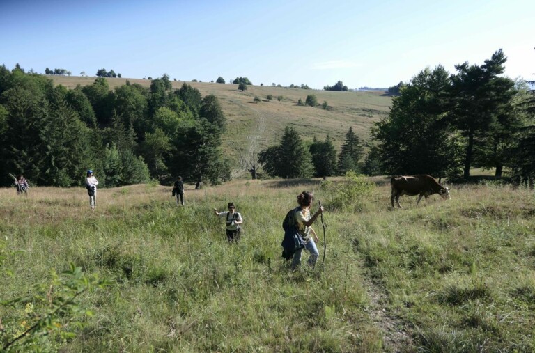 Emanuela Ascari, residenza in Romania, courtesy Emanuela Ascari