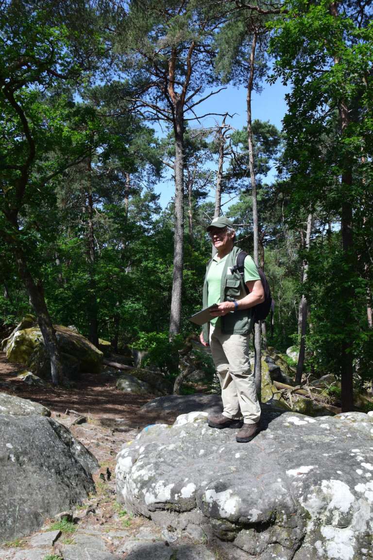 Foresta di Fontainebleau presso Barbizon. Photo © Dario Bragaglia