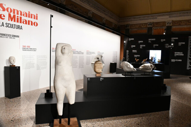 La Scultura, exhibition view at Sala delle Cariatidi, Palazzo Reale, Milano, 2022, photo Matteo Marazzi