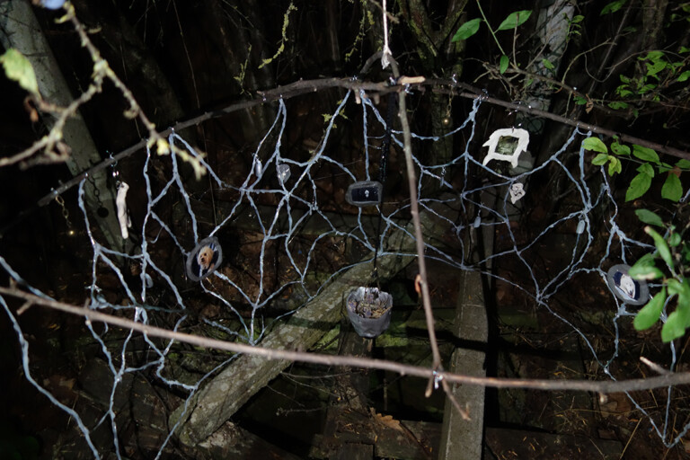 Gabriele Longega, dog’s saliva web rectum pit 1, UVA artist in residence, 2022, photo Stefano Camera