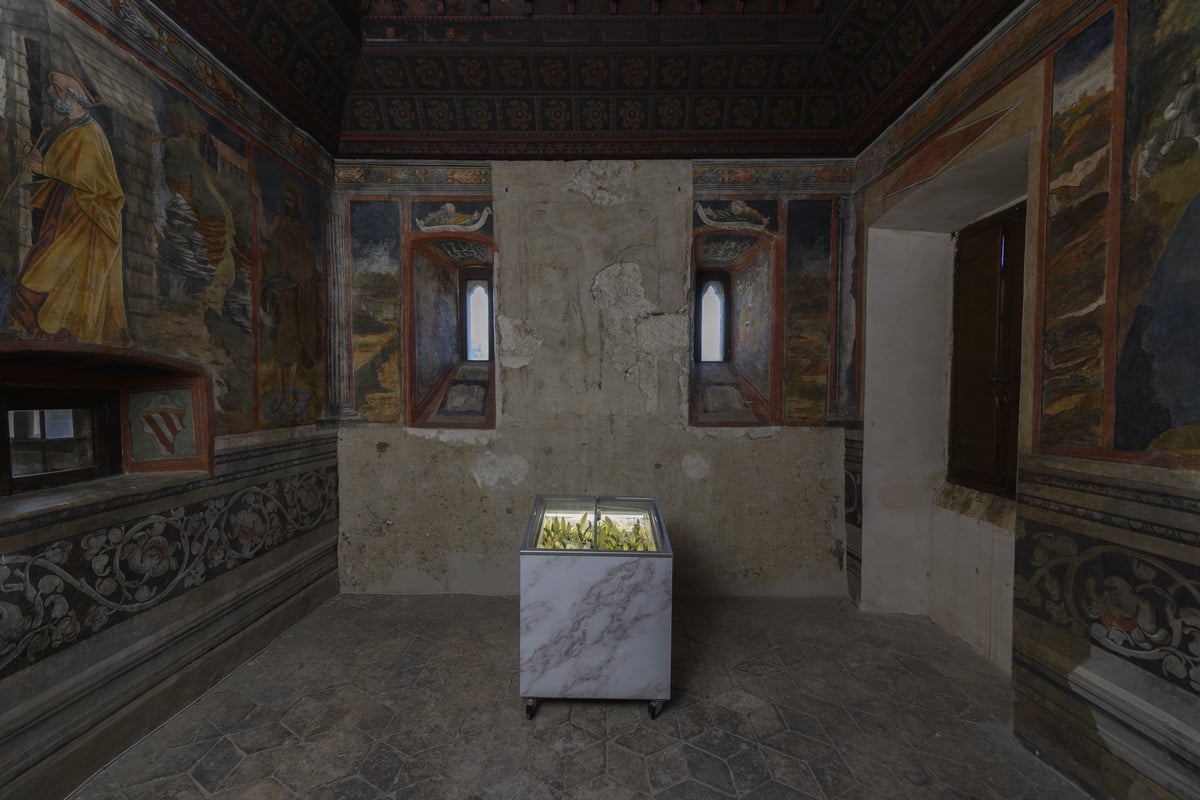 Invito a Palazzo. Mecenatismi, exhibition view at Tagliacozzo, photo © Giorgio Benni