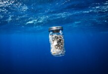 Justin Hofman, Great Pacific Garbage Patch, 2018. Una rete trascinata dietro la nostra barca per 10 minuti ha raccolto la plastica contenuta in questo barattolo