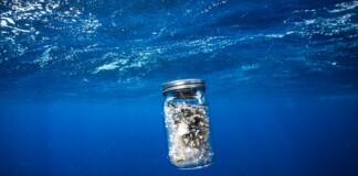 Justin Hofman, Great Pacific Garbage Patch, 2018. Una rete trascinata dietro la nostra barca per 10 minuti ha raccolto la plastica contenuta in questo barattolo