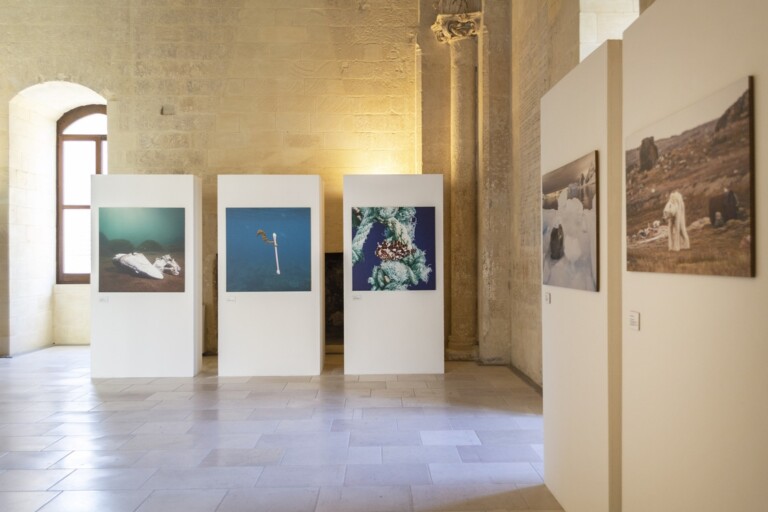 Justin Hofman. Abyss and Horizon. Exhibition view at Castello Carlo V, Lecce 2022. Photo credits Valeria Gaetani