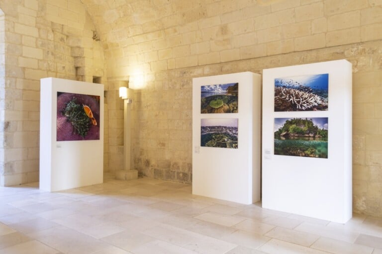 Justin Hofman. Abyss and Horizon. Exhibition view at Castello Carlo V, Lecce 2022. Photo credits Valeria Gaetani