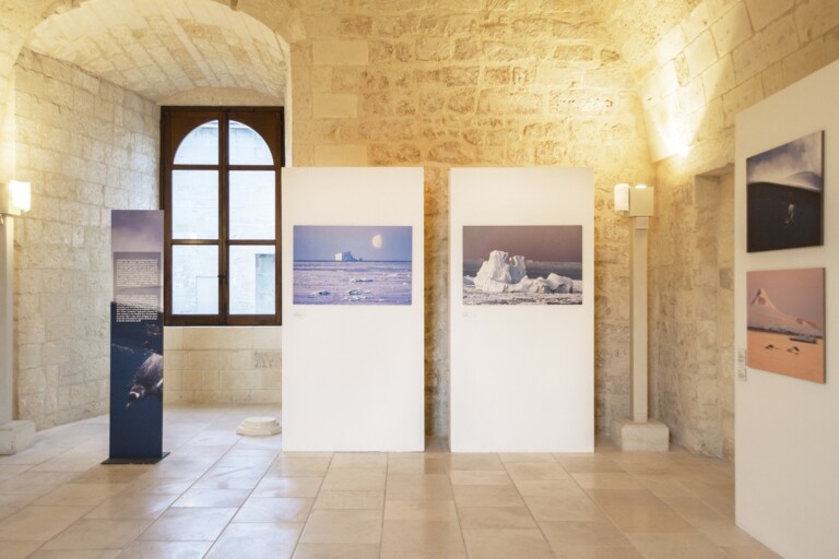 Justin Hofman. Abyss and Horizon. Exhibition view at Castello Carlo V, Lecce 2022. Photo credits Valeria Gaetani