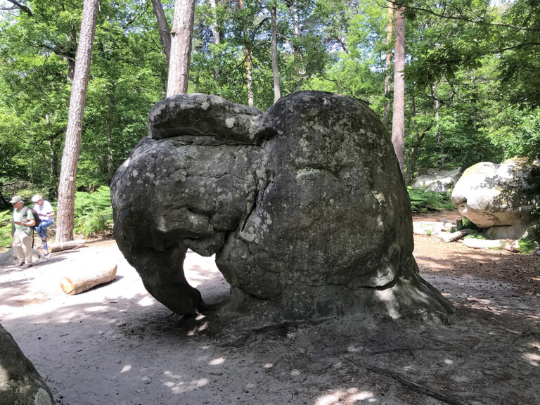 La famosa roccia a forma di elefante, Foresta di Fontainebleau presso Barbizon, Francia. Photo © Dario Bragaglia