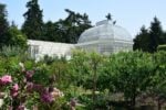 Museo Dipartimentale Albert Kahn, Boulogne Billancourt (il giardino e la serra). Photo © Dario Bragaglia