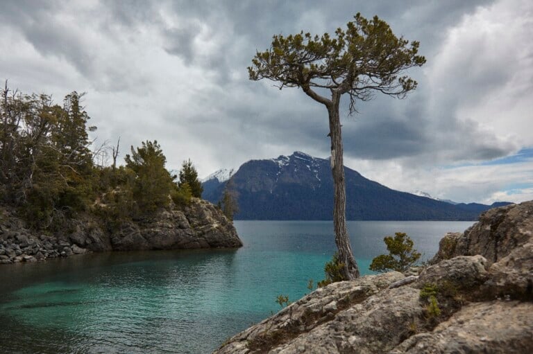 Ricerca in Patagonia