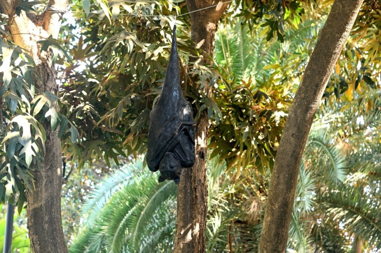 Ryan Mendoza, Bats, 2022. Palazzo Reale, Palermo