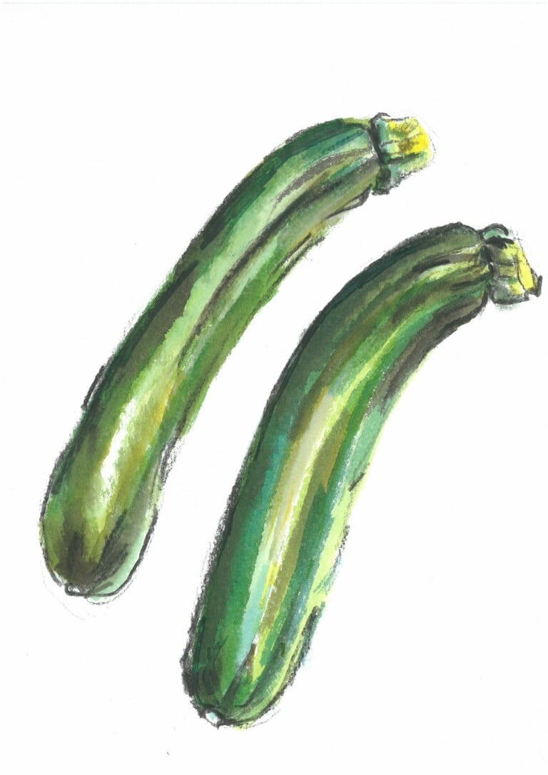 Zucchine, Sara Ciuffetta
