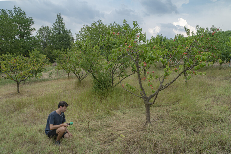 UVA artist in residence, 2022, Photo Stefano Camera