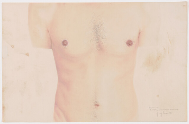 "Project for Projection, Plaster cast, Slides (Progetto per proiettore, calco di gesso, diapositiva)," 1972, by Giuseppe Penone. Hair and pastel on paper, 17 1/16 x 26 5/16 inches (43.3 x 66.8 cm). Gift of the artist in honor of Dina Carrara, 2019. Image courtesy Philadelphia Museum of Art, 2020.