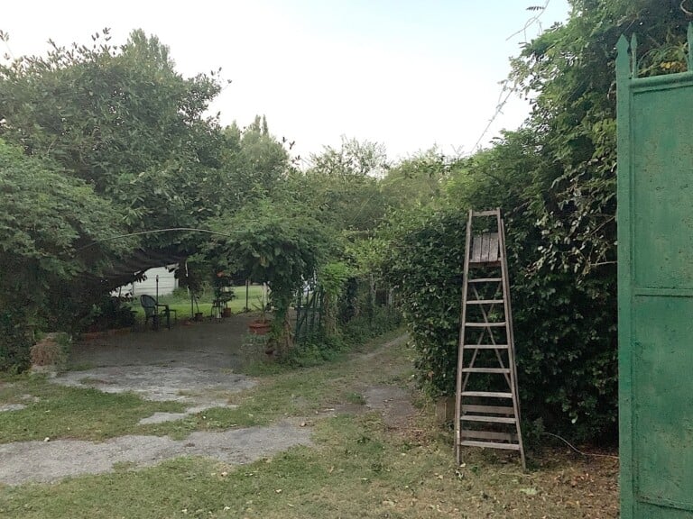 Interno Verde, Ferrara. Photo Claudia Zanfi