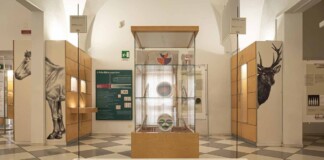 A tavola con Gio Ponti. Gli angeli apparecchiano. Exhibition view at Museo Civico di Paleontologia e Paletnologia, Maglie. Photo Daniele Coricciati
