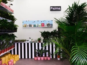 A Milano spazio d’arte nascosto dietro al negozio di piante: il progetto di Palma e Case Chiuse