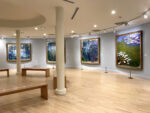 Gli spazi dedicati alle opere di Claude Monet, Musée Marmottan, Parigi. Photo © Dario Bragaglia