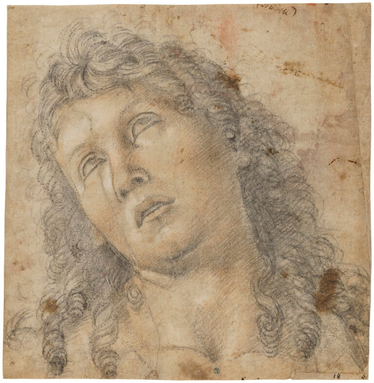 Luca Signorelli, Head of Saint John the Baptist, c. 1483-84. Black and white chalk, traces of red chalk on paper. Pricked for transfer. Nationalmuseum.