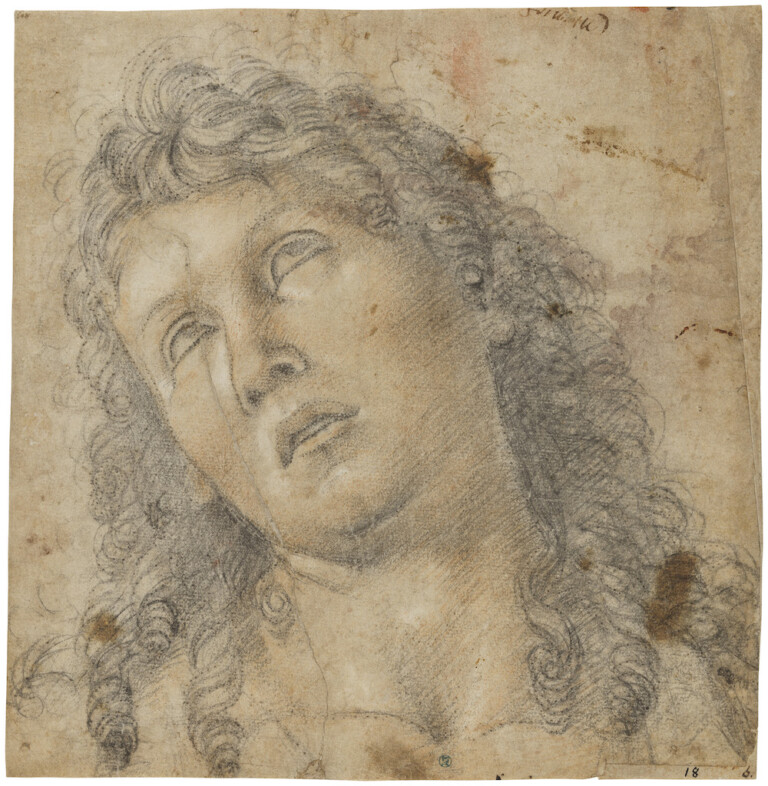 Luca Signorelli, Head of Saint John the Baptist, c. 1483-84. Black and white chalk, traces of red chalk on paper. Pricked for transfer. Nationalmuseum.