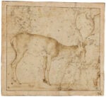 Paolo Uccello, Studies of a Standing Deer, Two Heads of Deer, and a Putto Holding a Fruit. Pen and light brown ink, light grey wash on paper. Nationalmuseum