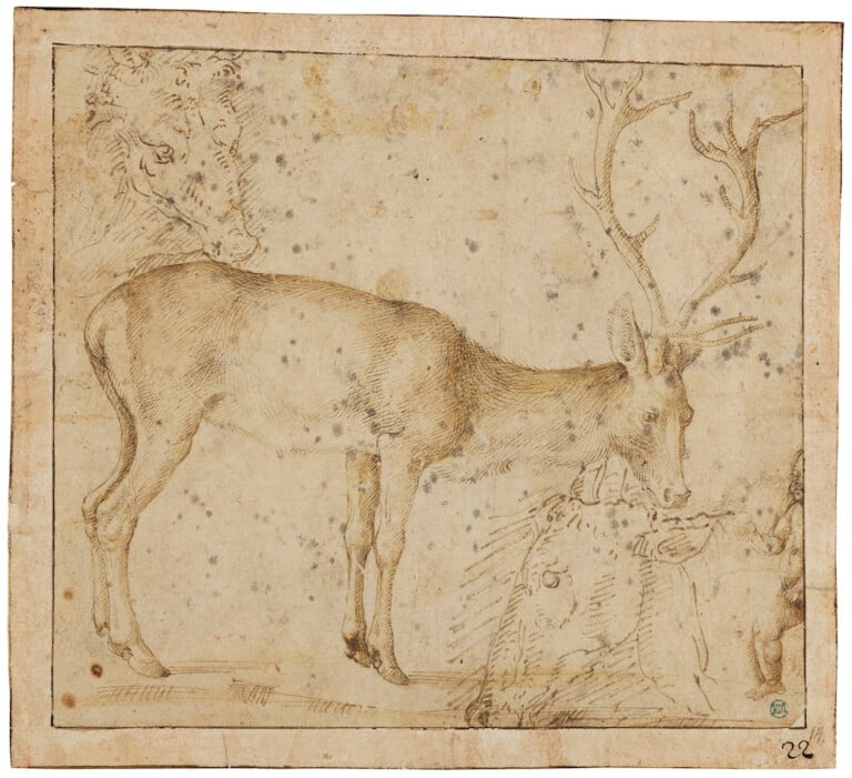 Paolo Uccello, Studies of a Standing Deer, Two Heads of Deer, and a Putto Holding a Fruit. Pen and light brown ink, light grey wash on paper. Nationalmuseum