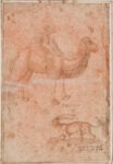 Paolo Uccello, Animal and Other Studies. Pen and brown ink, brown wash on light-red prepared paper. Nationalmuseum.