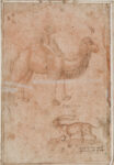 Paolo Uccello, Animal and Other Studies. Pen and brown ink, brown wash on light-red prepared paper. Nationalmuseum.